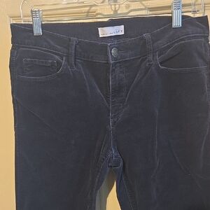 LOFT Navy Corduroy Pants